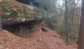 Randonnée Marche Liederschiedt - Le Sentier des Roches à Liederschiedt - Photo 10