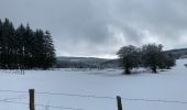 Tour Wandern La Roche-en-Ardenne - Autour de Samree  - Photo 1