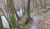 Trail Nordic walking Doische - vallée de l hermeton  - Photo 1