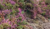 Trail Walking Mendionde - mont Baigura - Photo 20