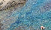 Percorso Marcia Banyuls-sur-Mer - Banyuls_Peyrefite_bis_T - Photo 6