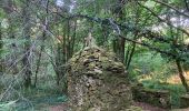 Randonnée Marche Labastide-Rouairoux - 34 Dolmen de la Gante au dessus de COURNIOU  - Photo 2