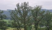 Tocht Stappen Vresse-sur-Semois - rando vresse sur semois 2-06-2024 - Photo 3