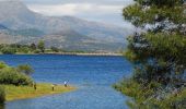 Tocht Te voet Guadarrama - [SL-M 44006] Bosque plateado - Photo 3