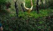 Percorso Marcia Campénéac - l'arbre d'or Val sans retour - Photo 3
