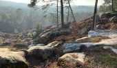 Trail Walking Fontainebleau - Fait 02/23 TB  Malmontagne + Haut Mont +  Long Rocher  - Photo 4