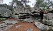 Tocht Stappen Fontainebleau - Fontainebleau Sentier Denecourt 17 - Photo 3