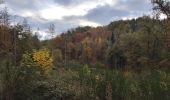 Tour Wandern Valeille - Randonnée de Valeille  - Photo 6