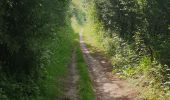 Trail Walking La Calotterie - Autour de Montreuil sur mer  - Photo 17