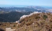 Tocht Stappen Marseille - Mont Carpiagne - Photo 3