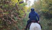 Trail Equestrian Charleville-sous-Bois - Wikiloc - Gondreville - Les secrets des bois - Photo 2