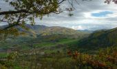 Tocht Te voet Colli Verdi - Sentiero Aquila - Photo 9