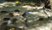 Trail Walking Plan-d'Aups-Sainte-Baume - L'huveaune - Photo 2