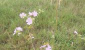 Trail Walking Val-de-Vie - Ste  Foy de Montgommery - Photo 2