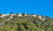 Tour Wandern Toulon - Le Faron centre  - Photo 1