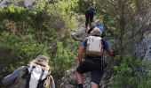 Randonnée Marche Ollioules - Les Grottes de Destel - Photo 7