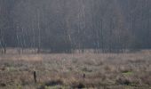 Percorso A piedi Eldingen - Südheide 'Kühe in Halbtrauer' W21k (kurze Tour) - Photo 2