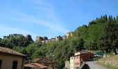 Trail On foot Pescia - IT-55 - Photo 7