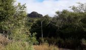 Tocht Stappen Le François - Stade du François-pointe Degras en boucle - Photo 16