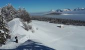 Tour Schneeschuhwandern Lans-en-Vercors - Circuit les Aigaux / Charande - Photo 11
