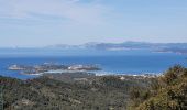 Tour Wandern La Seyne-sur-Mer - Cap Sicié et Notre Dame du mai - Photo 2