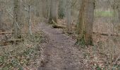 Trail Walking Vorselaar - Vorselaar  - Photo 5