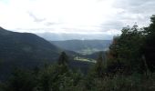 Randonnée Marche Sarcenas - Col de Porte_La Pinea_Oratoire d'Orgeval - Photo 2