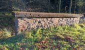 Trail Walking Eupen - nahtsief court - Photo 6