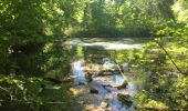 Excursión Senderismo Tintigny - La Rando du Bian: Autour de Lahage ( variante)  - Photo 17