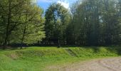 Trail Walking Raon-aux-Bois - circuit parcours raon aux bois chalet de bennevise - Photo 2