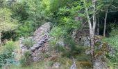 Tocht Stappen Aumessas - Lac les Pisés départ Travers - Photo 6