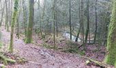 Trail Walking Camors - PR_56_Camors_CA_03_Tro-Bourk_Circuit1b_20240126 - Photo 8