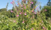 Trail Walking Valorbiquet - St Cyr du Ronceray  - Photo 6