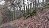 Trail Walking Stoumont - stpumont - froudcour aller via sentier corniche retour le long de l ambleve - Photo 13