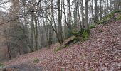 Randonnée Marche Stoumont - stpumont - froudcour aller via sentier corniche retour le long de l ambleve - Photo 13