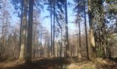 Trail Walking Esneux - parc du Mary.  rond bâti . anc carrière.  arboretum . parc du mary  - Photo 14