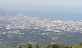 Percorso Mountainbike Allauch - les antennes du garlaban - Photo 6