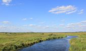 Tour Zu Fuß Dolistowo Stare - Morgowniki - Dolistowo - Lipsk - Photo 4