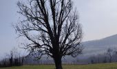 Tour Wandern Champdieu - Randonnée sur les hauteurs de Champdieu  - Photo 9