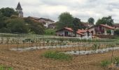 Tocht Stappen Ainhoa - Ainhoa tour d’errebi par col des trois croix  - Photo 7