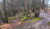 Tour Wandern Esneux - beauregard . famelette . roche aux faucons . plainevaux . beau beauregard - Photo 8