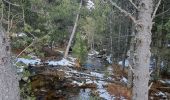 Tour Wandern Les Angles - Lac de Balcère - Photo 7