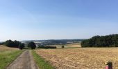 Tour Zu Fuß Naumburg - Naumburg - N9 - Photo 5