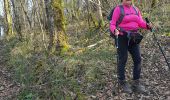 Trail Walking Ardiège - Depart Ardiege cap de la picote ,crete de Huntous,les arrousses plombières 2 le 06 Mars 2024 avec  eve - Photo 1