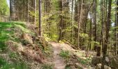 Trail Walking Gœrsdorf - 2024-04-14 GOERSDORF Liebfrauenberg - Photo 8
