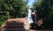 Tour Wandern Sentheim - Marcher au marché - Photo 6