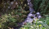 Tour Wandern Girmont-Val-d'Ajol - girmont  - Photo 2