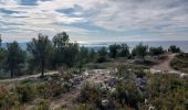 Excursión Senderismo Le Castellet - gros  cerveau  par GR 51 depuis l'ouest  - Photo 6