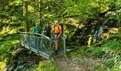 Trail Walking Kruth - Rando des Marcheurs 10/08/2023 - Photo 8