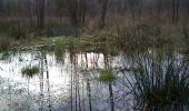 Tocht Te voet Feldberger Seenlandschaft - Krüseliner Rundweg - Photo 5